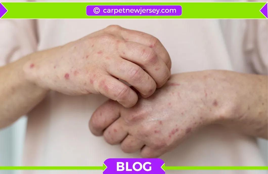 carpet cleaning in new jersey, carpet cleaning in new jersey, carpet cleaning new jersey, carpet cleaners in new jersey, carpet cleaners in new jersey, commercial carpet cleaning, commercial carpet cleaning in new jersey, new jersey rug cleaners, rug cleaning services in new jersey, same day carpet cleaning, same day rug cleaning