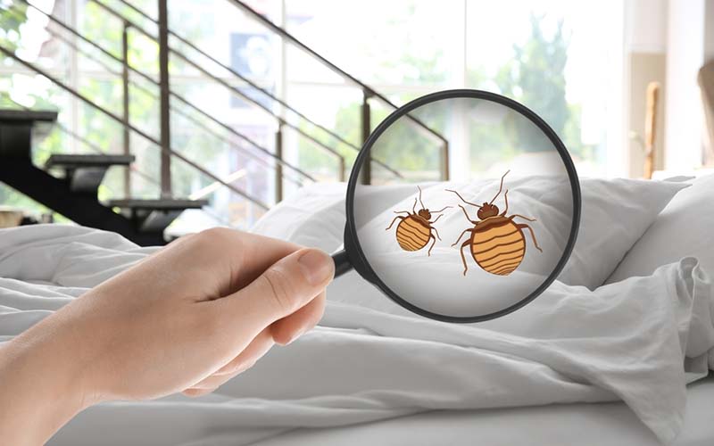 carpet cleaning in new jersey, carpet cleaning in new jersey, carpet cleaning new jersey, carpet cleaners in new jersey, carpet cleaners in new jersey, commercial carpet cleaning, commercial carpet cleaning in new jersey, new jersey rug cleaners, rug cleaning services in new jersey, same day carpet cleaning, same day rug cleaning