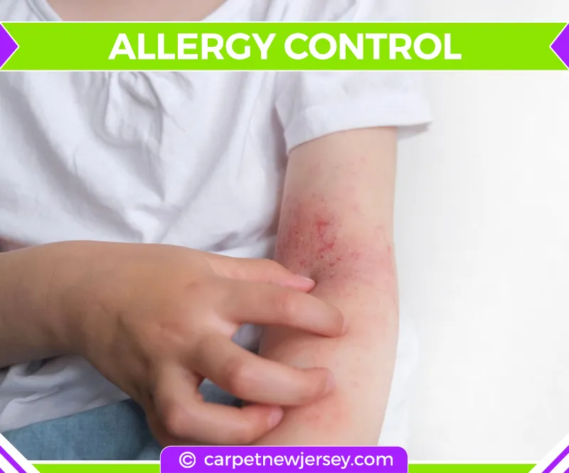 carpet cleaning in new jersey, carpet cleaning in new jersey, carpet cleaning new jersey, carpet cleaners in new jersey, carpet cleaners in new jersey, commercial carpet cleaning, commercial carpet cleaning in new jersey, new jersey rug cleaners, rug cleaning services in new jersey, same day carpet cleaning, same day rug cleaning