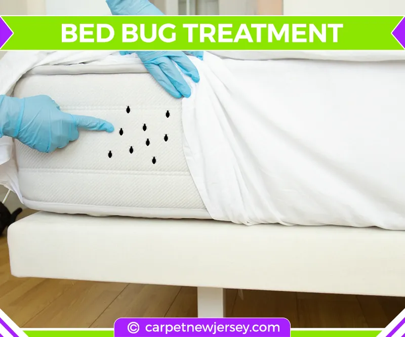 carpet cleaning in new jersey, carpet cleaning in new jersey, carpet cleaning new jersey, carpet cleaners in new jersey, carpet cleaners in new jersey, commercial carpet cleaning, commercial carpet cleaning in new jersey, new jersey rug cleaners, rug cleaning services in new jersey, same day carpet cleaning, same day rug cleaning