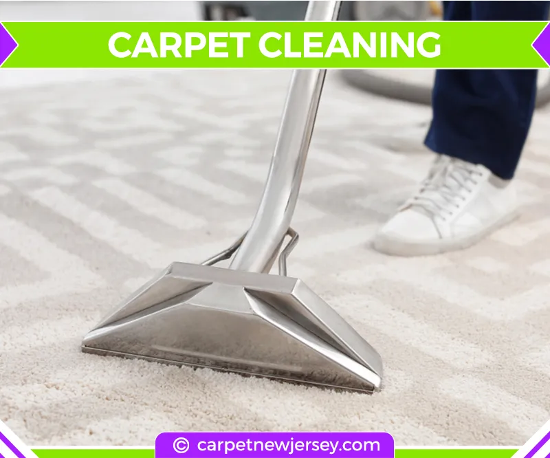 carpet cleaning in new jersey, carpet cleaning in new jersey, carpet cleaning new jersey, carpet cleaners in new jersey, carpet cleaners in new jersey, commercial carpet cleaning, commercial carpet cleaning in new jersey, new jersey rug cleaners, rug cleaning services in new jersey, same day carpet cleaning, same day rug cleaning