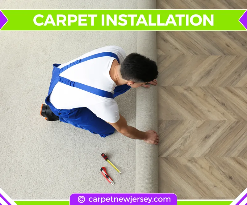 carpet cleaning in new jersey, carpet cleaning in new jersey, carpet cleaning new jersey, carpet cleaners in new jersey, carpet cleaners in new jersey, commercial carpet cleaning, commercial carpet cleaning in new jersey, new jersey rug cleaners, rug cleaning services in new jersey, same day carpet cleaning, same day rug cleaning
