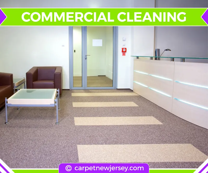 carpet cleaning in new jersey, carpet cleaning in new jersey, carpet cleaning new jersey, carpet cleaners in new jersey, carpet cleaners in new jersey, commercial carpet cleaning, commercial carpet cleaning in new jersey, new jersey rug cleaners, rug cleaning services in new jersey, same day carpet cleaning, same day rug cleaning