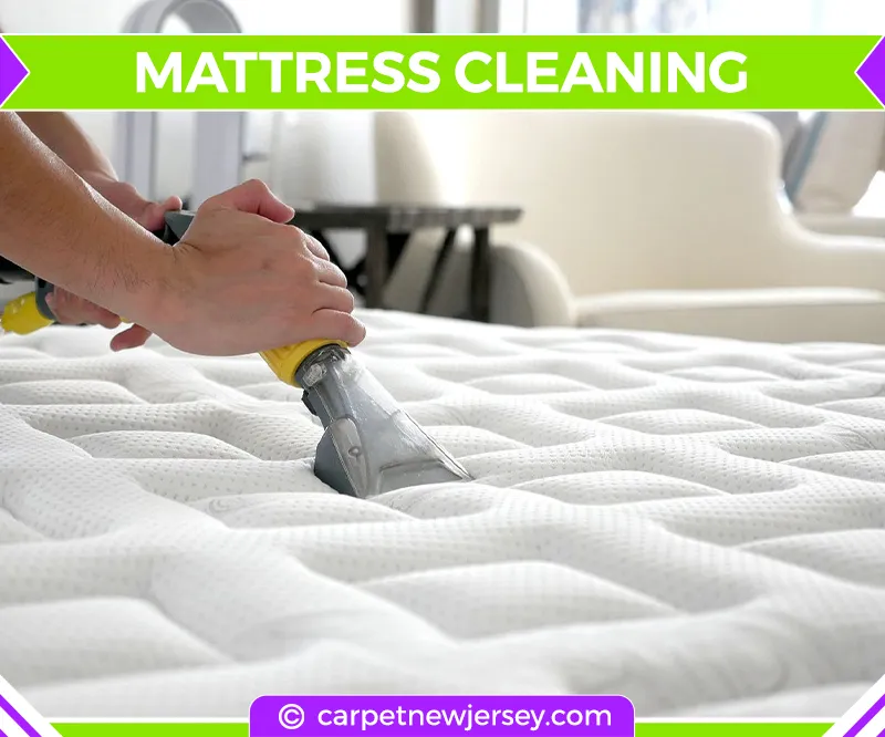 carpet cleaning in new jersey, carpet cleaning in new jersey, carpet cleaning new jersey, carpet cleaners in new jersey, carpet cleaners in new jersey, commercial carpet cleaning, commercial carpet cleaning in new jersey, new jersey rug cleaners, rug cleaning services in new jersey, same day carpet cleaning, same day rug cleaning