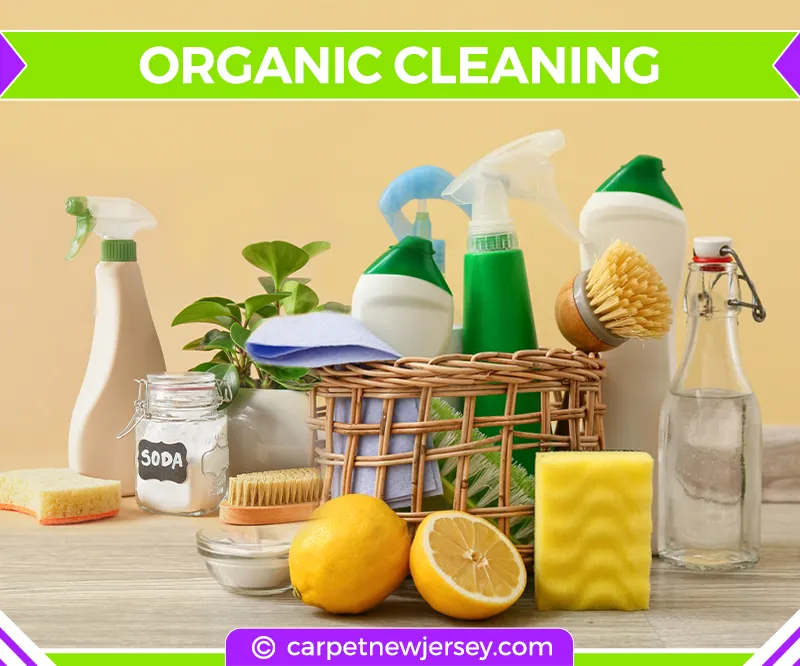 carpet cleaning in new jersey, carpet cleaning in new jersey, carpet cleaning new jersey, carpet cleaners in new jersey, carpet cleaners in new jersey, commercial carpet cleaning, commercial carpet cleaning in new jersey, new jersey rug cleaners, rug cleaning services in new jersey, same day carpet cleaning, same day rug cleaning